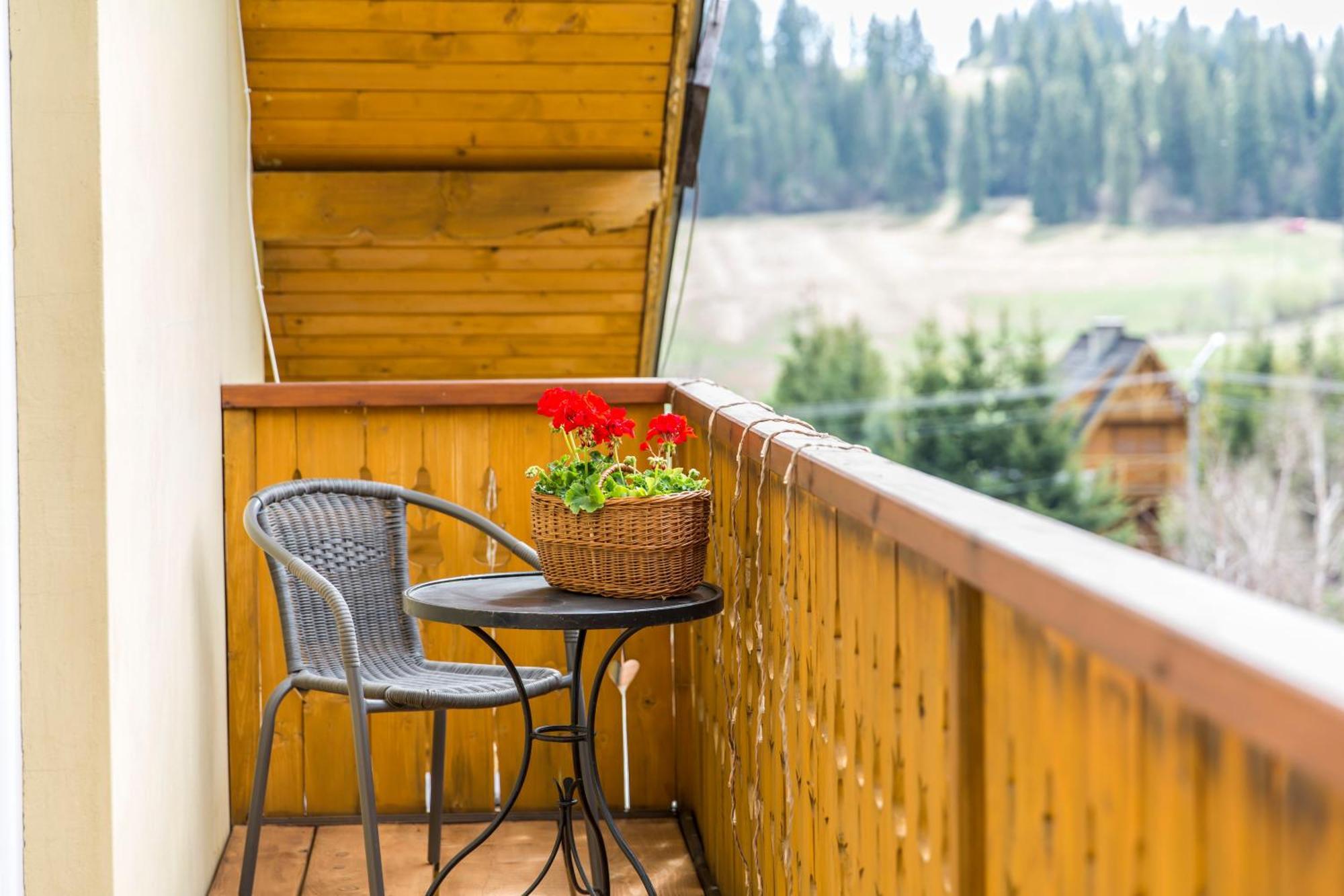 Apartamenty Zielona Owieczka Niedzica Zamek Exterior foto