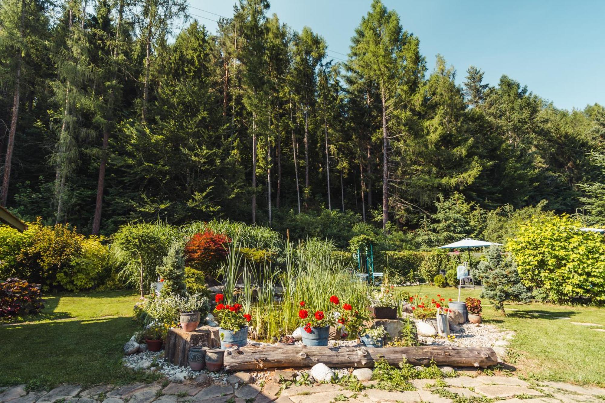 Apartamenty Zielona Owieczka Niedzica Zamek Exterior foto